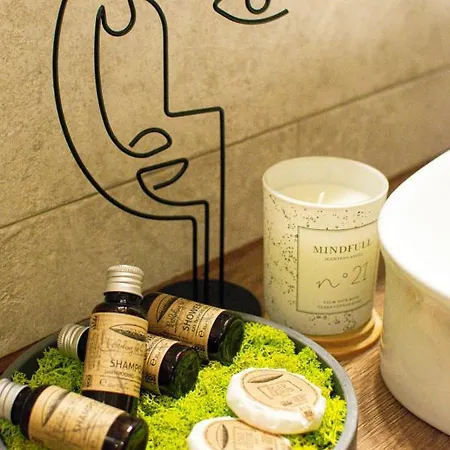 Apartment Bravisa View Brasov