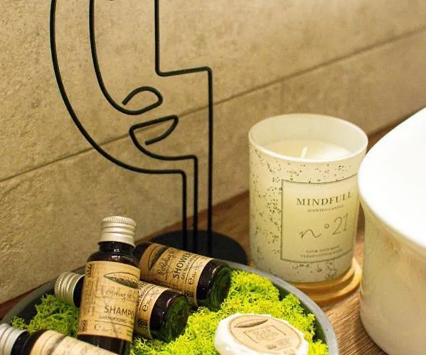 Appartement Bravisa View Braşov